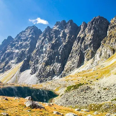 Πανσιόν Spillenberg Classic